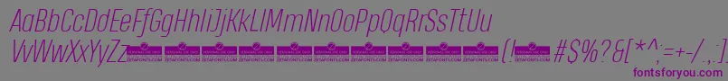 HeadingProExtralightItalicTrial Font – Purple Fonts on Gray Background