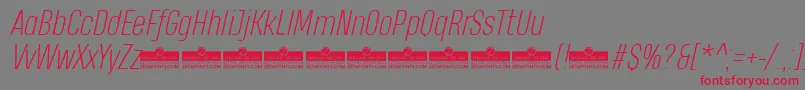HeadingProExtralightItalicTrial Font – Red Fonts on Gray Background