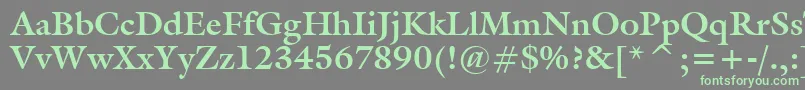 Tt0069m Font – Green Fonts on Gray Background