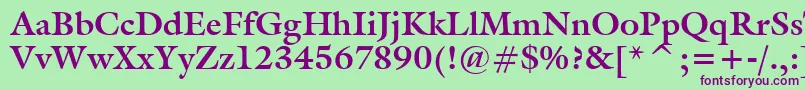 Tt0069m Font – Purple Fonts on Green Background