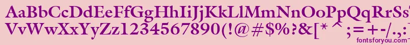 Tt0069m Font – Purple Fonts on Pink Background