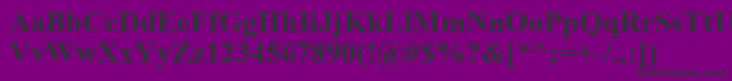 TimesNewRomanРџРѕР»СѓР¶РёСЂРЅС‹Р№ Font – Black Fonts on Purple Background