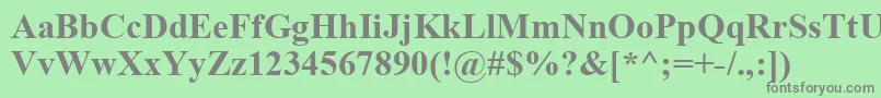 TimesNewRomanРџРѕР»СѓР¶РёСЂРЅС‹Р№ Font – Gray Fonts on Green Background
