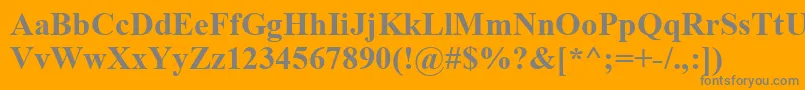 TimesNewRomanРџРѕР»СѓР¶РёСЂРЅС‹Р№ Font – Gray Fonts on Orange Background