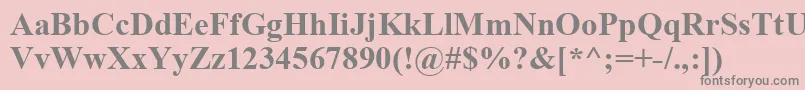 TimesNewRomanРџРѕР»СѓР¶РёСЂРЅС‹Р№ Font – Gray Fonts on Pink Background
