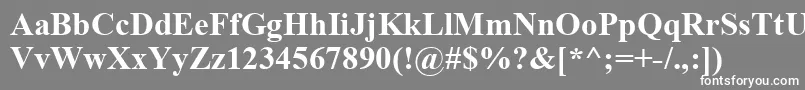 TimesNewRomanРџРѕР»СѓР¶РёСЂРЅС‹Р№ Font – White Fonts on Gray Background