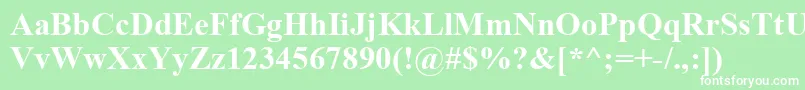 TimesNewRomanРџРѕР»СѓР¶РёСЂРЅС‹Р№ Font – White Fonts on Green Background