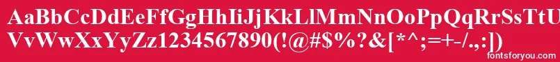 TimesNewRomanРџРѕР»СѓР¶РёСЂРЅС‹Р№ Font – White Fonts on Red Background