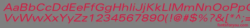 UniversltstdExobl Font – Red Fonts on Gray Background