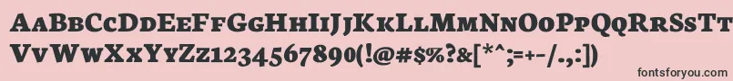 NeutonScExtrabold Font – Black Fonts on Pink Background