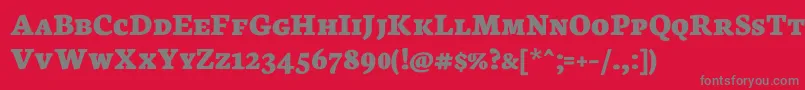 フォントNeutonScExtrabold – 赤い背景に灰色の文字