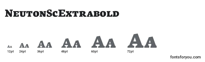 Размеры шрифта NeutonScExtrabold