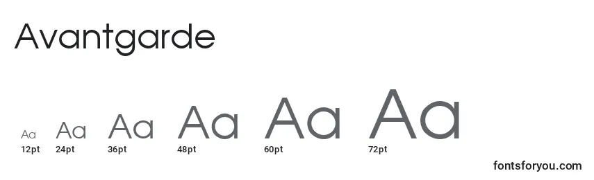 Размеры шрифта Avantgarde