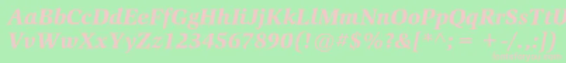 SlimbachstdBlackitalic Font – Pink Fonts on Green Background