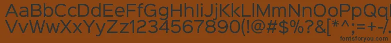 フォントSinkinsans400regular – 黒い文字が茶色の背景にあります