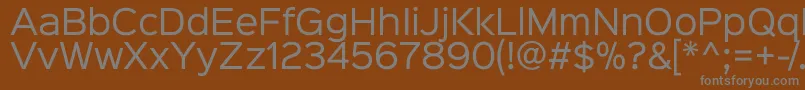 Sinkinsans400regular Font – Gray Fonts on Brown Background