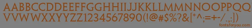 PenumbrawebproSerif Font – Brown Fonts on Gray Background