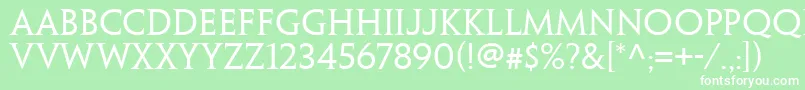 PenumbrawebproSerif Font – White Fonts on Green Background