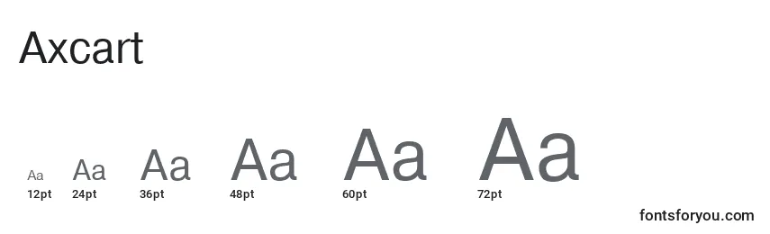 Размеры шрифта Axcart