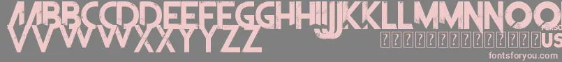TheFrontman Font – Pink Fonts on Gray Background