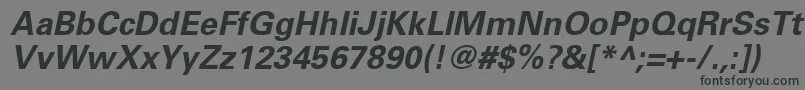 UniversLt65BoldOblique Font – Black Fonts on Gray Background