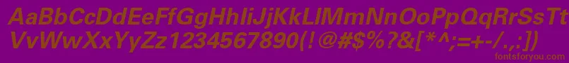 UniversLt65BoldOblique Font – Brown Fonts on Purple Background