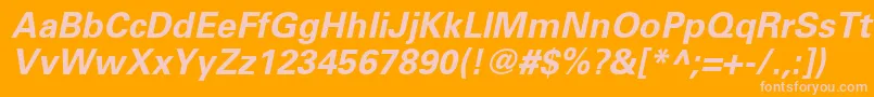 UniversLt65BoldOblique Font – Pink Fonts on Orange Background