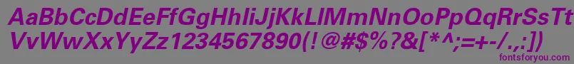 UniversLt65BoldOblique-fontti – violetit fontit harmaalla taustalla