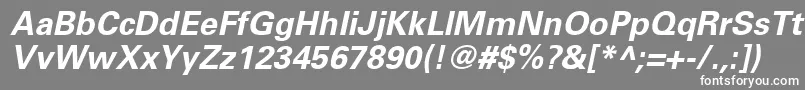 フォントUniversLt65BoldOblique – 灰色の背景に白い文字