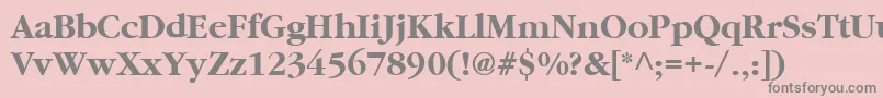 Cyrillicgaramondbold Font – Gray Fonts on Pink Background