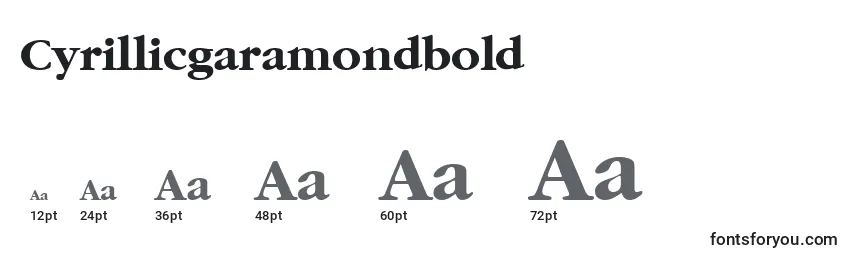 Размеры шрифта Cyrillicgaramondbold