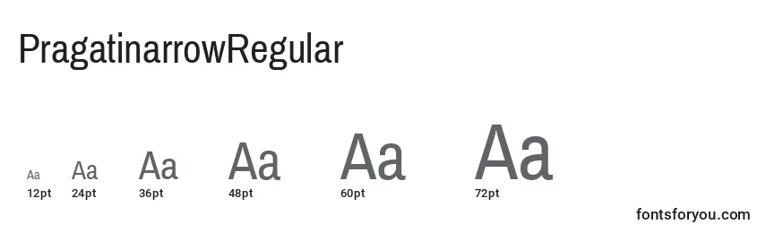 Размеры шрифта PragatinarrowRegular