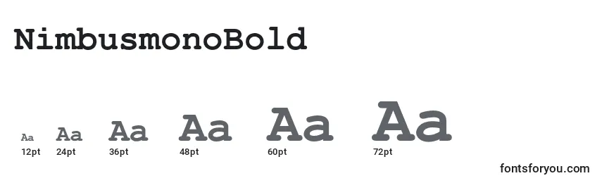 Размеры шрифта NimbusmonoBold