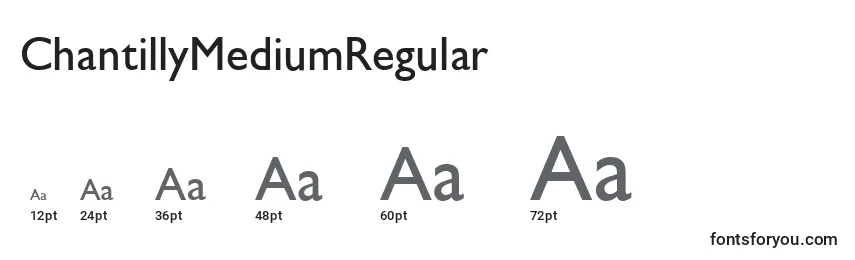 ChantillyMediumRegular Font Sizes