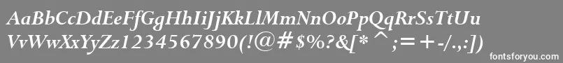 Lapidary333BoldItalicBt Font – White Fonts on Gray Background
