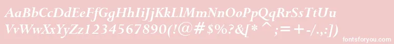 Lapidary333BoldItalicBt Font – White Fonts on Pink Background