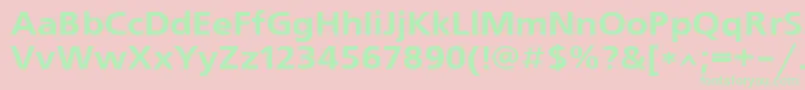 Freeset110b Font – Green Fonts on Pink Background