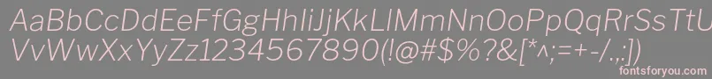 LibrefranklinExtralightitalic Font – Pink Fonts on Gray Background