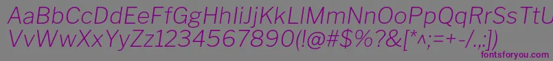 LibrefranklinExtralightitalic Font – Purple Fonts on Gray Background