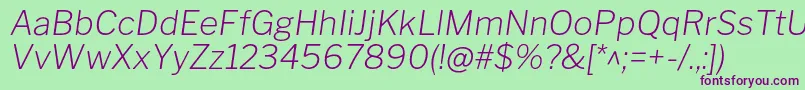 LibrefranklinExtralightitalic Font – Purple Fonts on Green Background