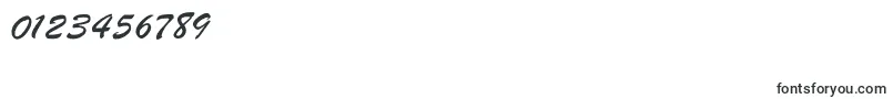 Parsekgtt Font – Fonts for Numbers and Digits