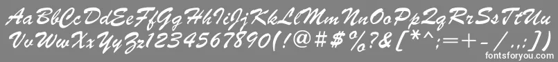 Parsekgtt Font – White Fonts on Gray Background