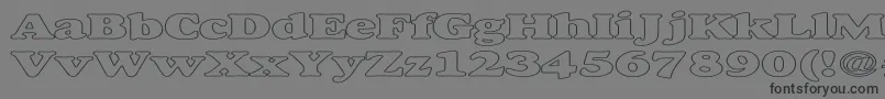 フォントAlexussHeavyHollowExpanded – 黒い文字の灰色の背景
