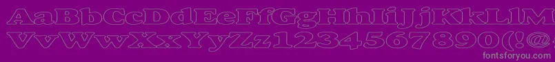 AlexussHeavyHollowExpanded-Schriftart – Graue Schriften auf violettem Hintergrund