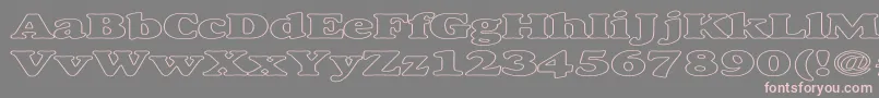 AlexussHeavyHollowExpanded-fontti – vaaleanpunaiset fontit harmaalla taustalla