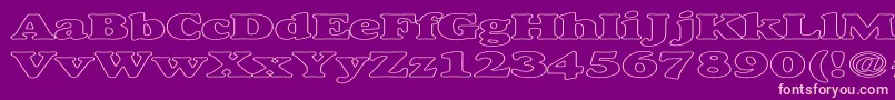 AlexussHeavyHollowExpanded Font – Pink Fonts on Purple Background