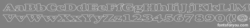 AlexussHeavyHollowExpanded-fontti – valkoiset fontit harmaalla taustalla