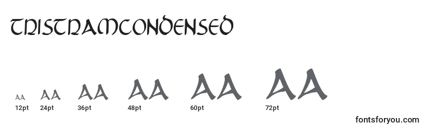 TristramCondensed Font Sizes