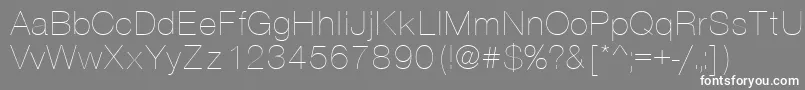VantaThinPlain Font – White Fonts on Gray Background
