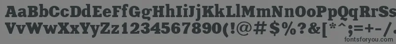 UkrainianxeniaBold Font – Black Fonts on Gray Background